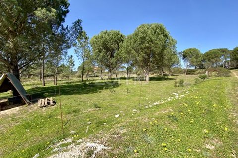 Tomt i Vila Verde, Coimbra, Vila Verde - € 425 000 | Ref: ZMPT555426 - foto 15