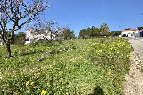 Tomt i Vila Verde, Coimbra, Vila Verde - € 425 000 | Ref: ZMPT555426 - foto 19
