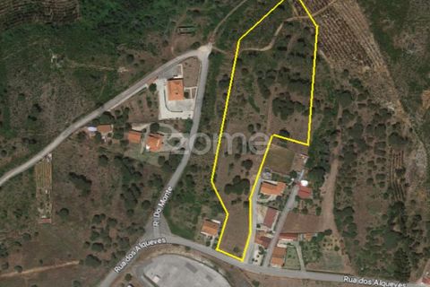 Tomt i Vila Verde, Coimbra, Vila Verde - € 425 000 | Ref: ZMPT555426 - foto 21
