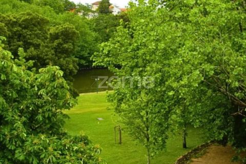 Grond in Luso, Aveiro, Luso - € 37.000 | Ref: ZMPT565933 - foto 16
