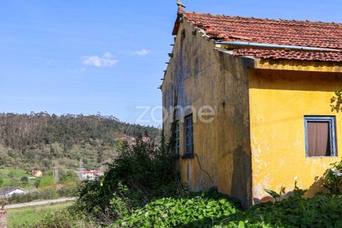 Villa i Pombal, Leiria, Pombal - € 70.000 | Ref: ZMPT587252 - foto 2