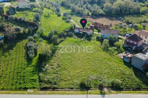 Villa i Pombal, Leiria, Pombal - € 70.000 | Ref: ZMPT587252 - foto 8