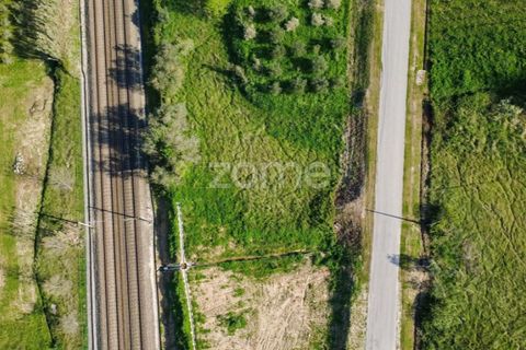 Villa i Pombal, Leiria, Pombal - € 70.000 | Ref: ZMPT587252 - foto 9