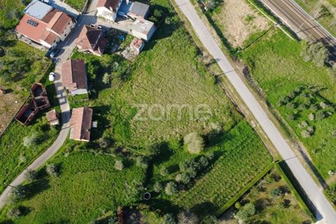 Villa i Pombal, Leiria, Pombal - € 70.000 | Ref: ZMPT587252 - foto 13