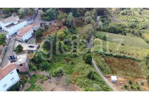 Terra em Sever do Vouga, Aveiro, Sever do Vouga - € 19.500 | Ref: TER_01265481 - foto 2