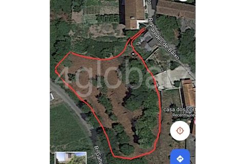 Terra em Sever do Vouga, Aveiro, Sever do Vouga - € 19.500 | Ref: TER_01265481 - foto 3