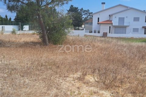Helårsgrund i Cantanhede, Coimbra, Cantanhede - € 215.000 | Ref: ZMPT580346 - foto 6