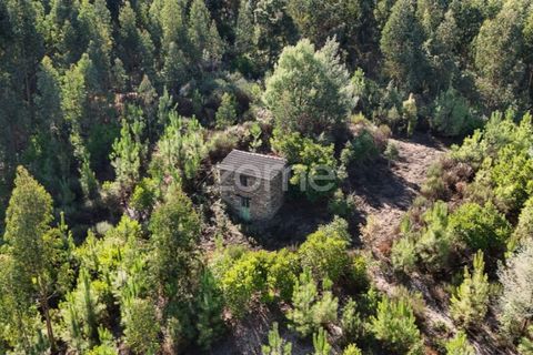 Tomt i Folques, Coimbra, Folques - € 68 000 | Ref: ZMPT581761 - foto 7