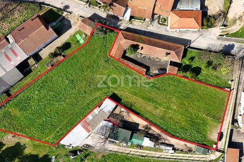 Helårsgrund i Oliveira do Bairro, Aveiro, Oliveira do Bairro - € 37.000 | Ref: ZMPT586347 - foto 5