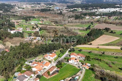 Helårsgrund i Oliveira do Bairro, Aveiro, Oliveira do Bairro - € 37.000 | Ref: ZMPT586347 - foto 6