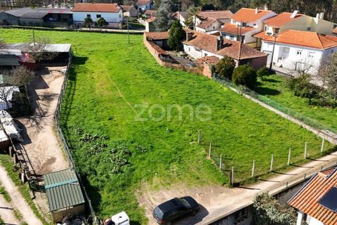 Helårsgrund i Oliveira do Bairro, Aveiro, Oliveira do Bairro - € 37.000 | Ref: ZMPT586347 - foto 7