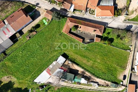 Helårsgrund i Oliveira do Bairro, Aveiro, Oliveira do Bairro - € 37.000 | Ref: ZMPT586347 - foto 8