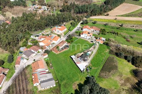 Helårsgrund i Oliveira do Bairro, Aveiro, Oliveira do Bairro - € 37.000 | Ref: ZMPT586347 - foto 9