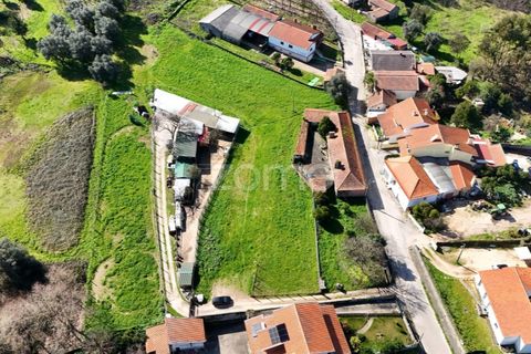 Helårsgrund i Oliveira do Bairro, Aveiro, Oliveira do Bairro - € 37.000 | Ref: ZMPT586347 - foto 10