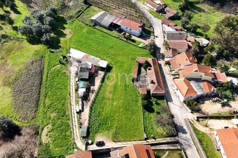 Helårsgrund i Oliveira do Bairro, Aveiro, Oliveira do Bairro - € 37.000 | Ref: ZMPT586347 - foto 11
