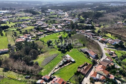 Helårsgrund i Oliveira do Bairro, Aveiro, Oliveira do Bairro - € 37.000 | Ref: ZMPT586347 - foto 12
