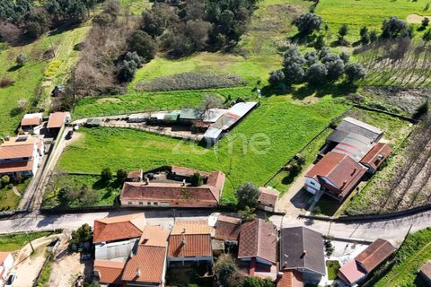 Helårsgrund i Oliveira do Bairro, Aveiro, Oliveira do Bairro - € 37.000 | Ref: ZMPT586347 - foto 13