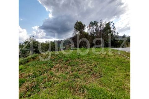 Terra em Sever do Vouga, Aveiro, Sever do Vouga - € 65.000 | Ref: TER_02255131 - foto 1