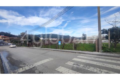 Terra em Sever do Vouga, Aveiro, Sever do Vouga - € 40.000 | Ref: TER_01244791 - foto 1