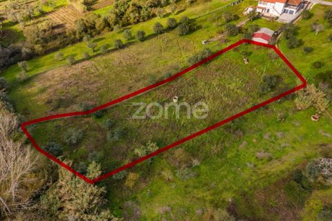 Helårsgrund i Pombal, Leiria, Pombal - € 45.000 | Ref: ZMPT583908 - foto 2