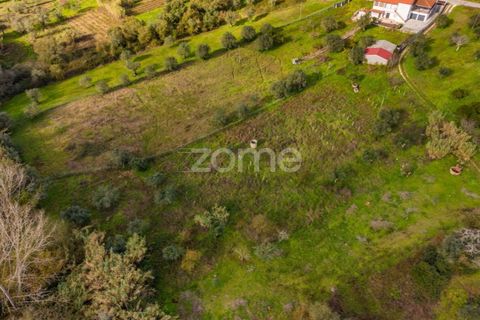 Helårsgrund i Pombal, Leiria, Pombal - € 45.000 | Ref: ZMPT583908 - foto 3