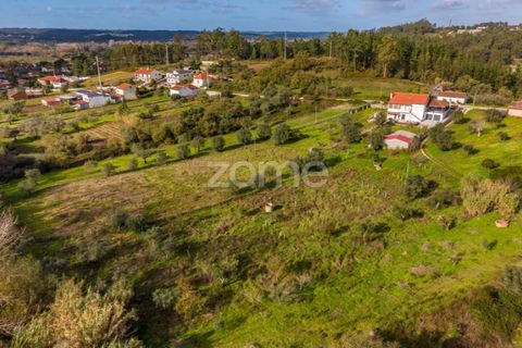 Helårsgrund i Pombal, Leiria, Pombal - € 45.000 | Ref: ZMPT583908 - foto 4