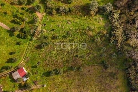 Helårsgrund i Pombal, Leiria, Pombal - € 45.000 | Ref: ZMPT583908 - foto 5