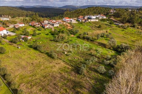 Helårsgrund i Pombal, Leiria, Pombal - € 45.000 | Ref: ZMPT583908 - foto 7