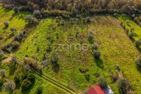 Helårsgrund i Pombal, Leiria, Pombal - € 45.000 | Ref: ZMPT583908 - foto 8