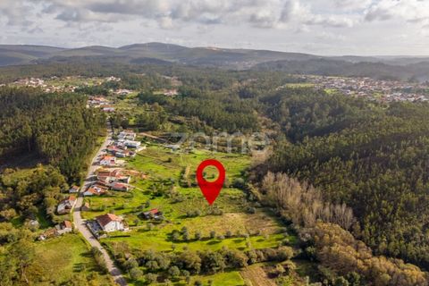 Helårsgrund i Pombal, Leiria, Pombal - € 45.000 | Ref: ZMPT583908 - foto 9