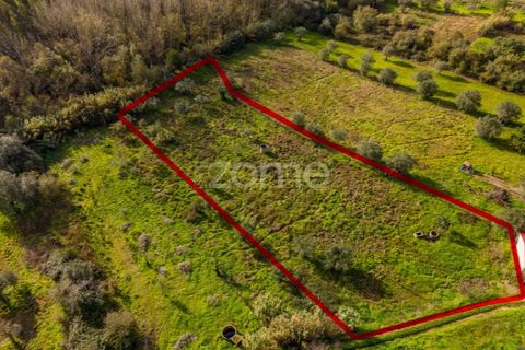 Helårsgrund i Pombal, Leiria, Pombal - € 45.000 | Ref: ZMPT583908 - foto 10