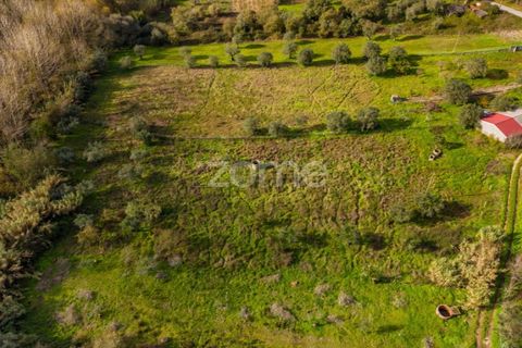 Helårsgrund i Pombal, Leiria, Pombal - € 45.000 | Ref: ZMPT583908 - foto 11
