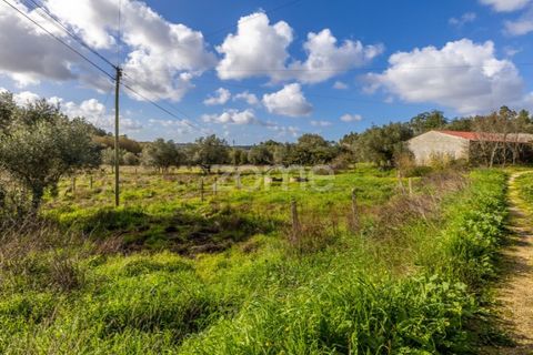 Helårsgrund i Pombal, Leiria, Pombal - € 45.000 | Ref: ZMPT583908 - foto 12