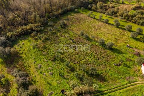 Helårsgrund i Pombal, Leiria, Pombal - € 45.000 | Ref: ZMPT583908 - foto 13