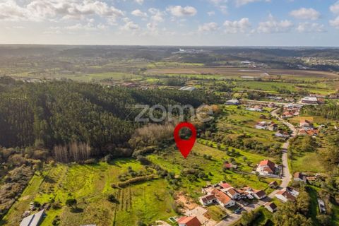Helårsgrund i Pombal, Leiria, Pombal - € 45.000 | Ref: ZMPT583908 - foto 14