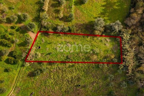 Helårsgrund i Pombal, Leiria, Pombal - € 45.000 | Ref: ZMPT583908 - foto 16