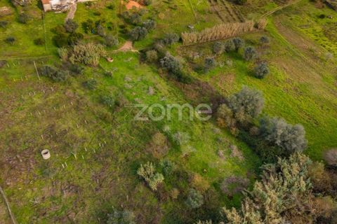 Helårsgrund i Pombal, Leiria, Pombal - € 45.000 | Ref: ZMPT583908 - foto 17