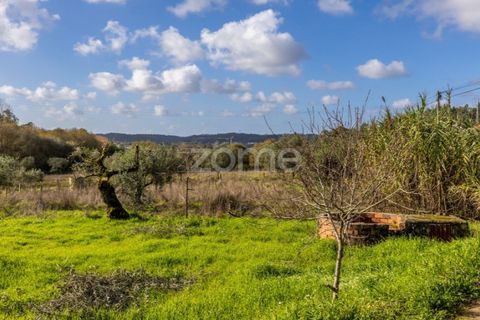 Helårsgrund i Pombal, Leiria, Pombal - € 45.000 | Ref: ZMPT583908 - foto 18
