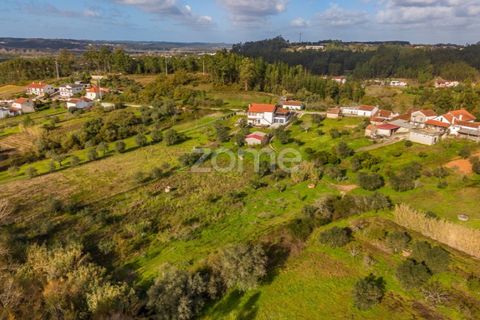 Helårsgrund i Pombal, Leiria, Pombal - € 45.000 | Ref: ZMPT583908 - foto 19