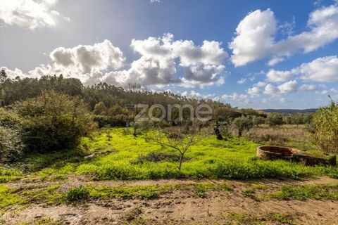 Helårsgrund i Pombal, Leiria, Pombal - € 45.000 | Ref: ZMPT583908 - foto 20