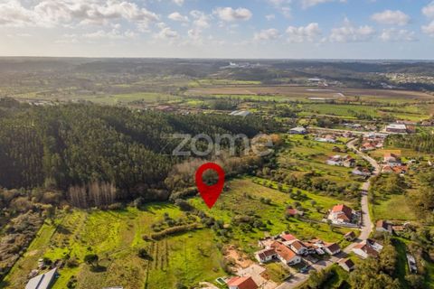 Helårsgrund i Pombal, Leiria, Pombal - € 45.000 | Ref: ZMPT583908 - foto 21