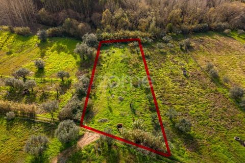 Helårsgrund i Pombal, Leiria, Pombal - € 45.000 | Ref: ZMPT583908 - foto 22