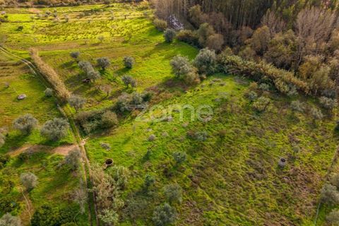Helårsgrund i Pombal, Leiria, Pombal - € 45.000 | Ref: ZMPT583908 - foto 23