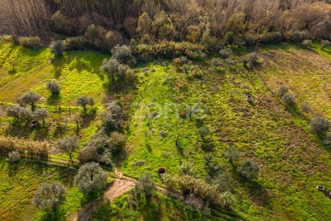 Helårsgrund i Pombal, Leiria, Pombal - € 45.000 | Ref: ZMPT583908 - foto 24