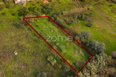 Helårsgrund i Pombal, Leiria, Pombal - € 45.000 | Ref: ZMPT583908 - foto 26
