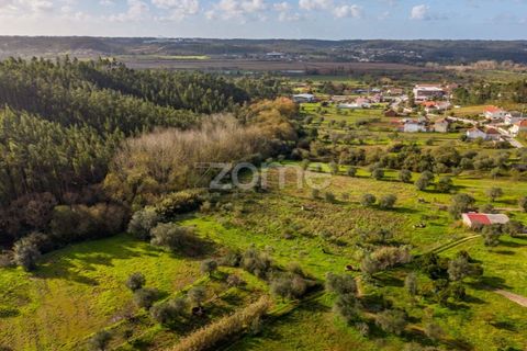 Helårsgrund i Pombal, Leiria, Pombal - € 45.000 | Ref: ZMPT583908 - foto 27
