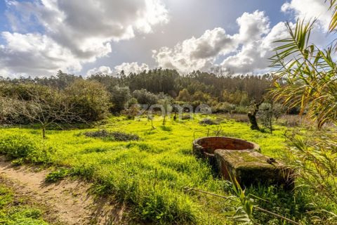 Helårsgrund i Pombal, Leiria, Pombal - € 45.000 | Ref: ZMPT583908 - foto 28