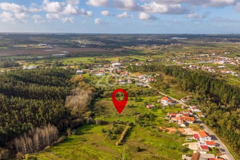 Helårsgrund i Pombal, Leiria, Pombal - € 45.000 | Ref: ZMPT583908 - foto 30