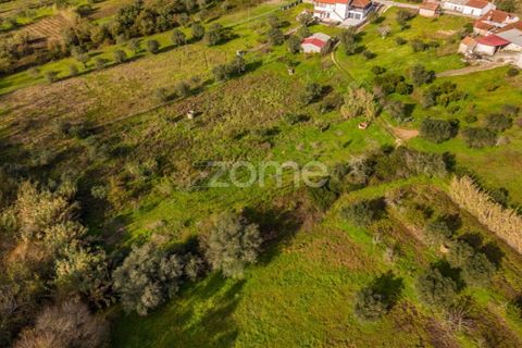 Helårsgrund i Pombal, Leiria, Pombal - € 45.000 | Ref: ZMPT583908 - foto 31