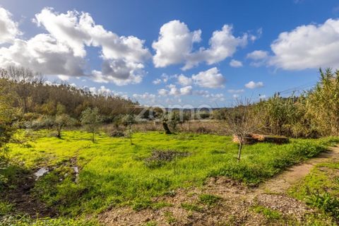 Helårsgrund i Pombal, Leiria, Pombal - € 45.000 | Ref: ZMPT583908 - foto 32